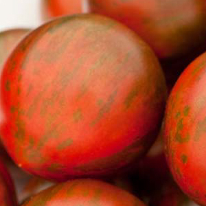����� ��������� (Lycopersicon esculentum F1) Rambling Red Stripe, 5 �� �����