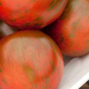 ����� ��������� (Lycopersicon esculentum F1) Rambling Red Stripe, 5 �� �����
